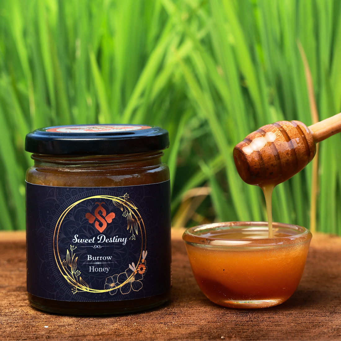 Burrow Honey