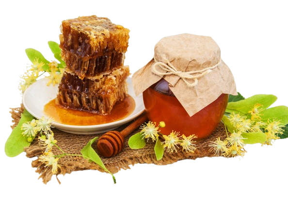 2675 removebg preview