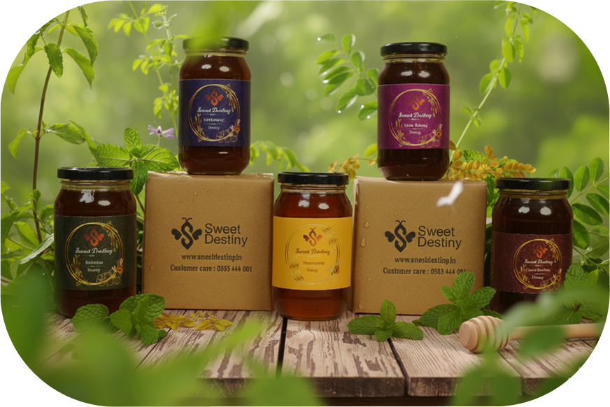 Gemini_Generated_Image_cdo932cdo932cdo9 1 1